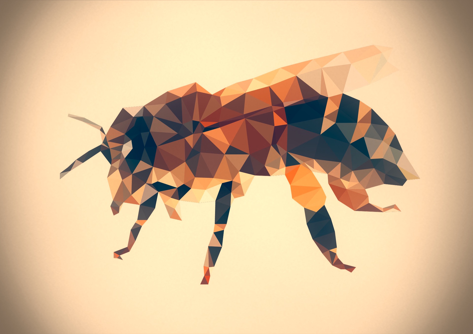 Apis mellifera Trianimalia